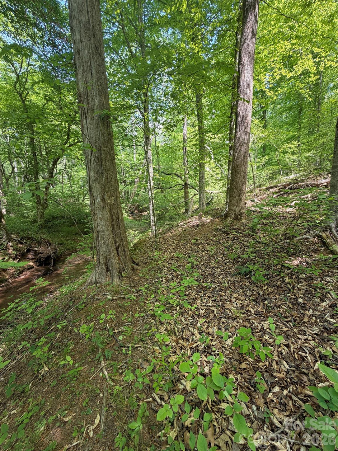 0 Overstone Drive #284 - Photo 12