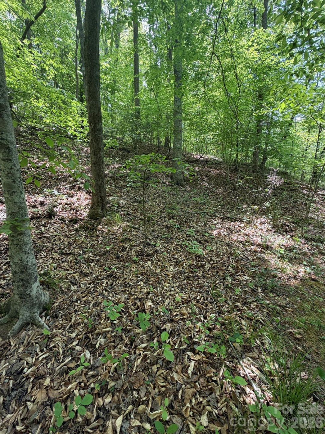 0 Overstone Drive #284 - Photo 13