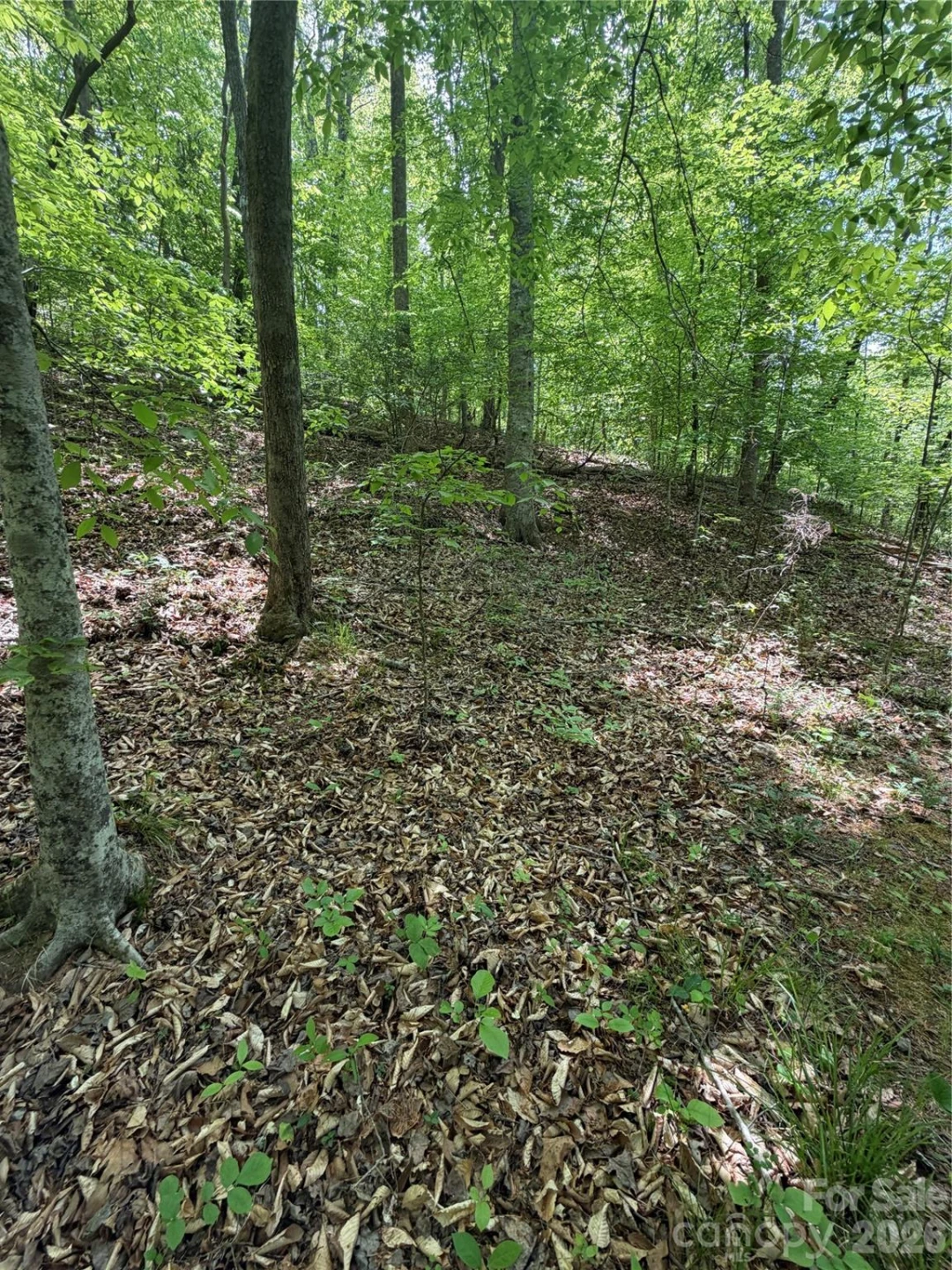 0 Overstone Drive #284 - Photo 13
