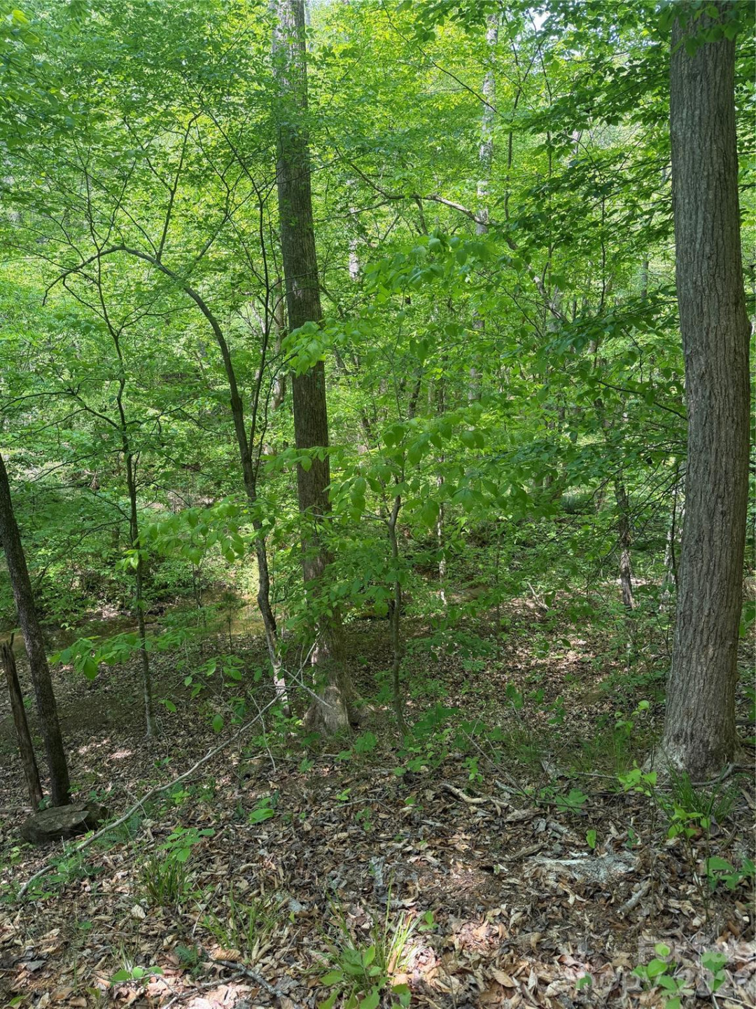 0 Overstone Drive #284 - Photo 14