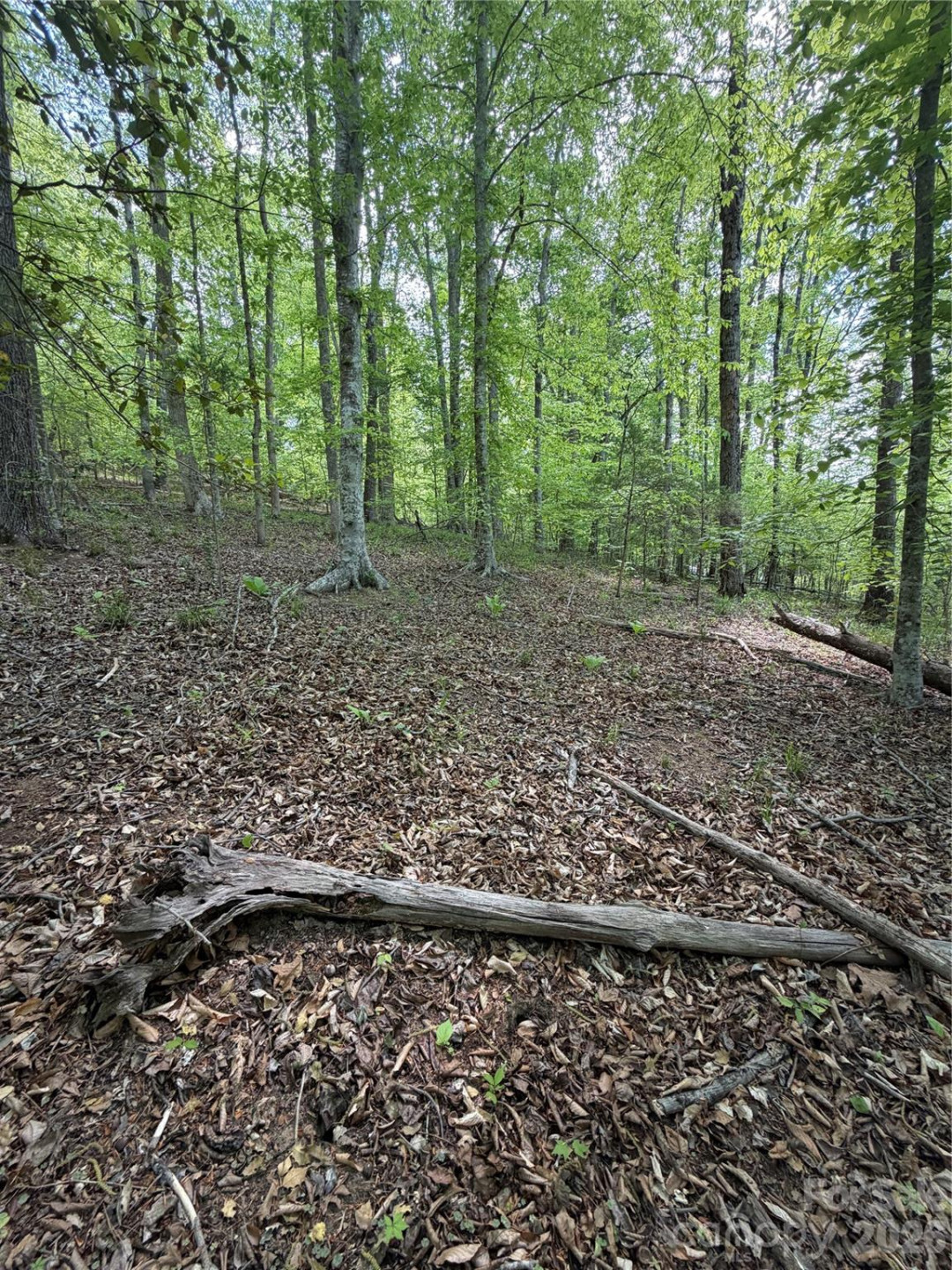 0 Overstone Drive #284 - Photo 15