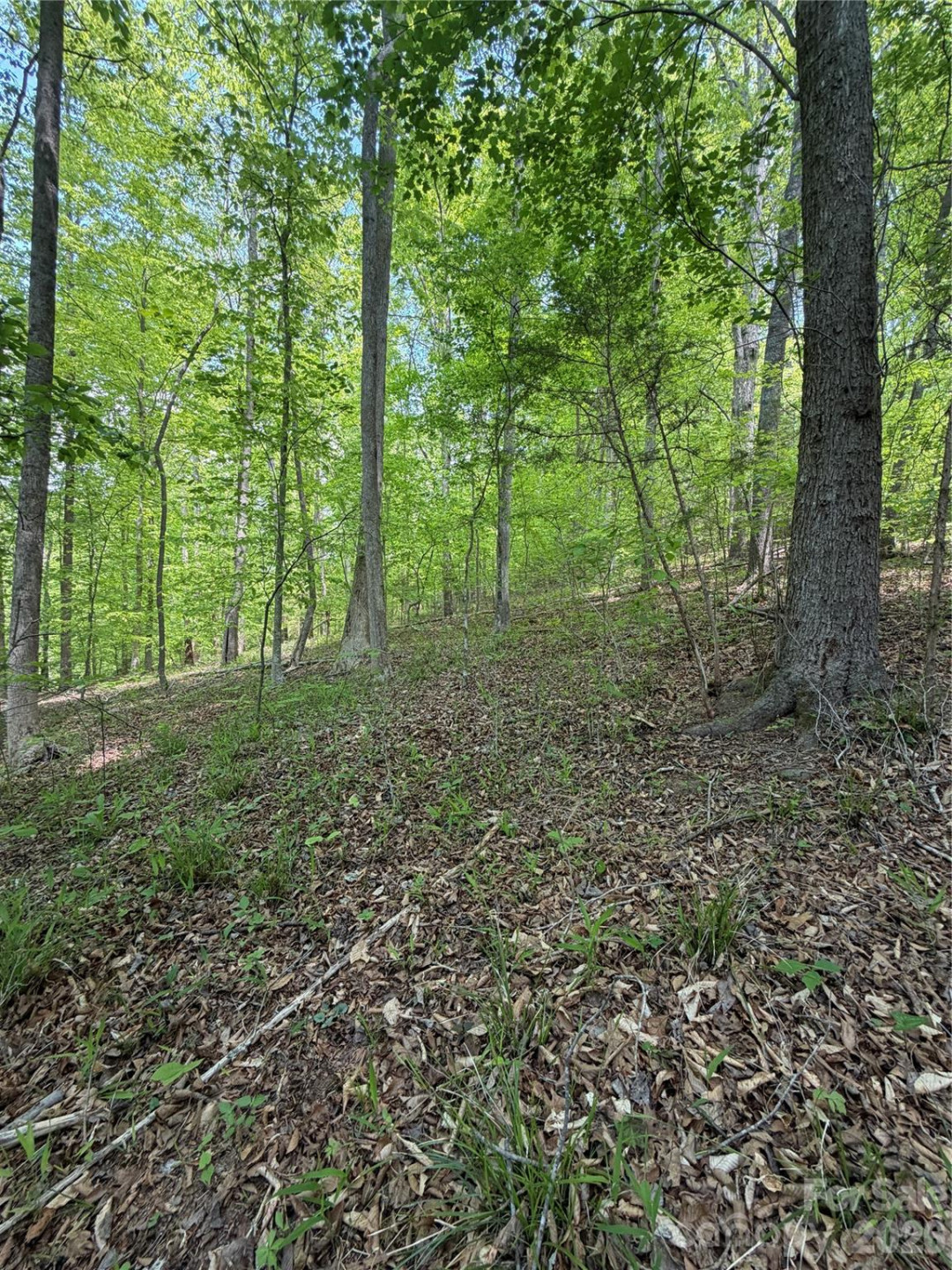 0 Overstone Drive #284 - Photo 16