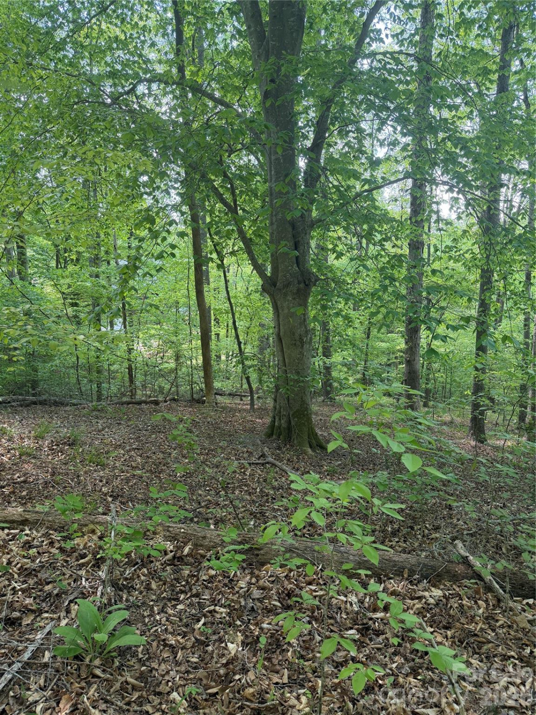 0 Overstone Drive #284 - Photo 17