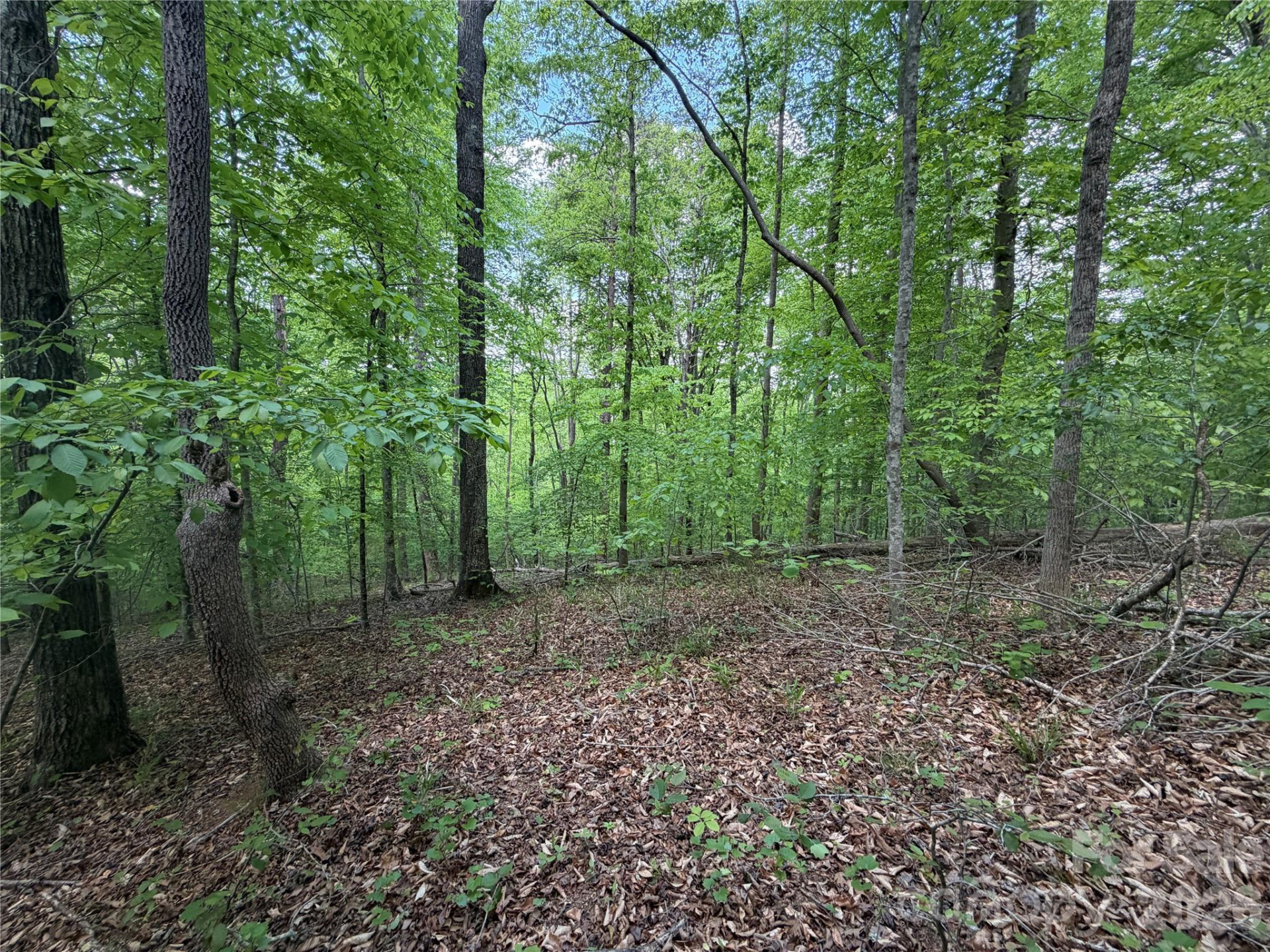 0 Overstone Drive #284 - Photo 3