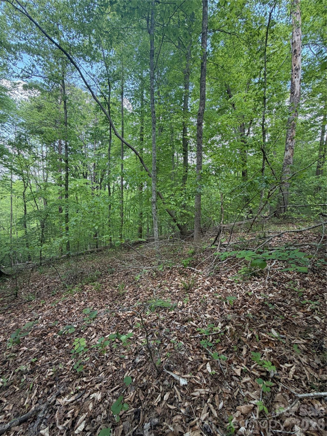 0 Overstone Drive #284 - Photo 4