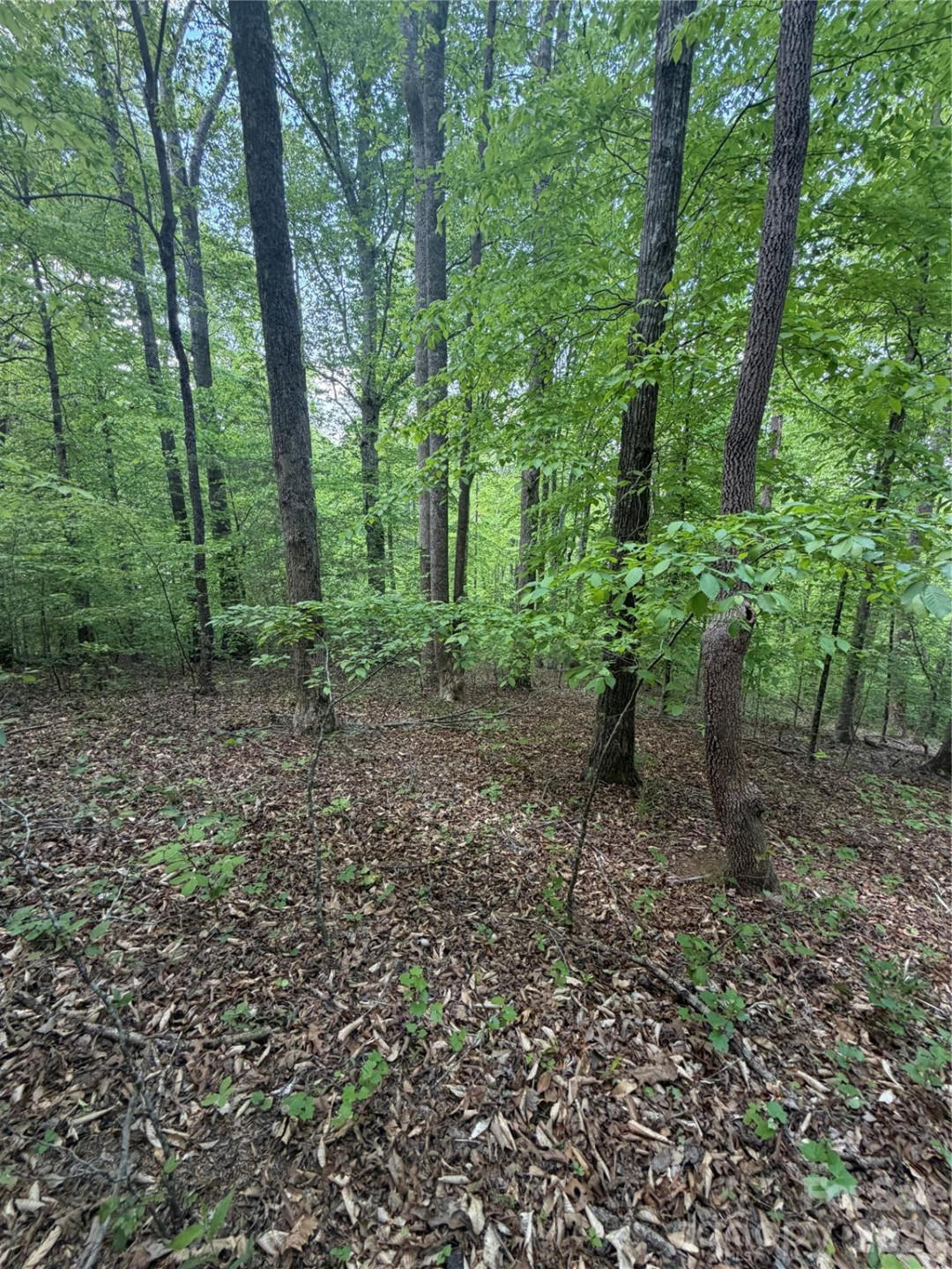 0 Overstone Drive #284 - Photo 5