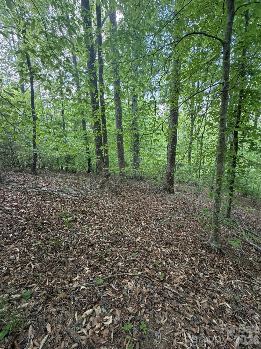 0 Overstone Drive #284 - Photo 6