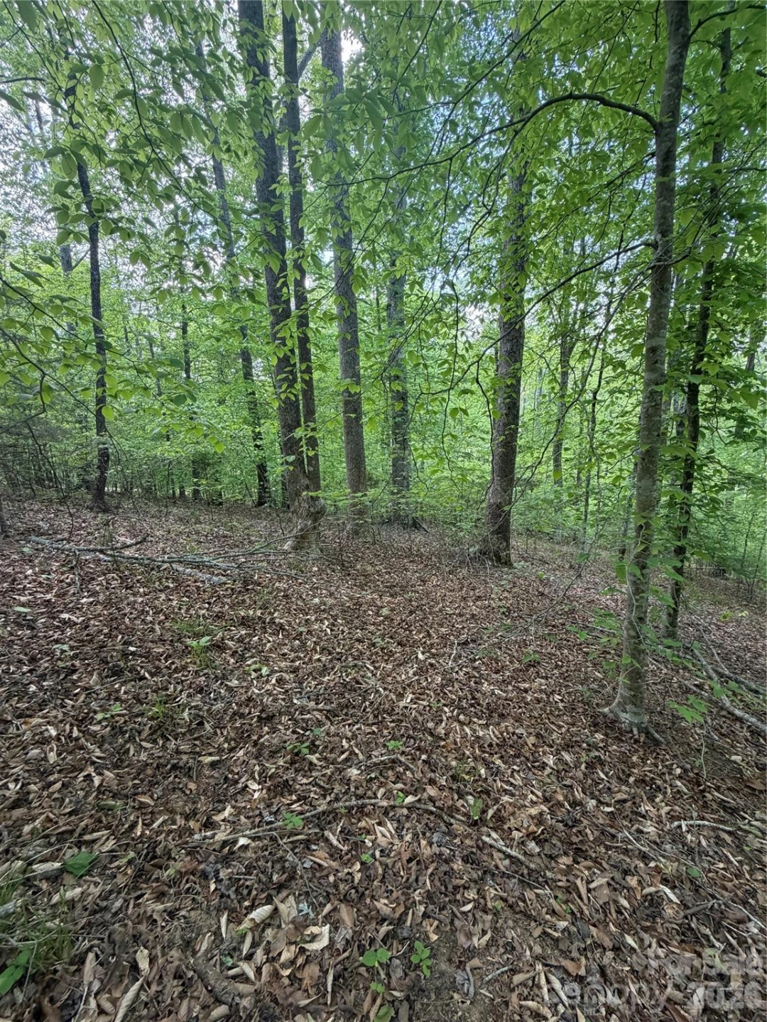 0 Overstone Drive #284 - Photo 6