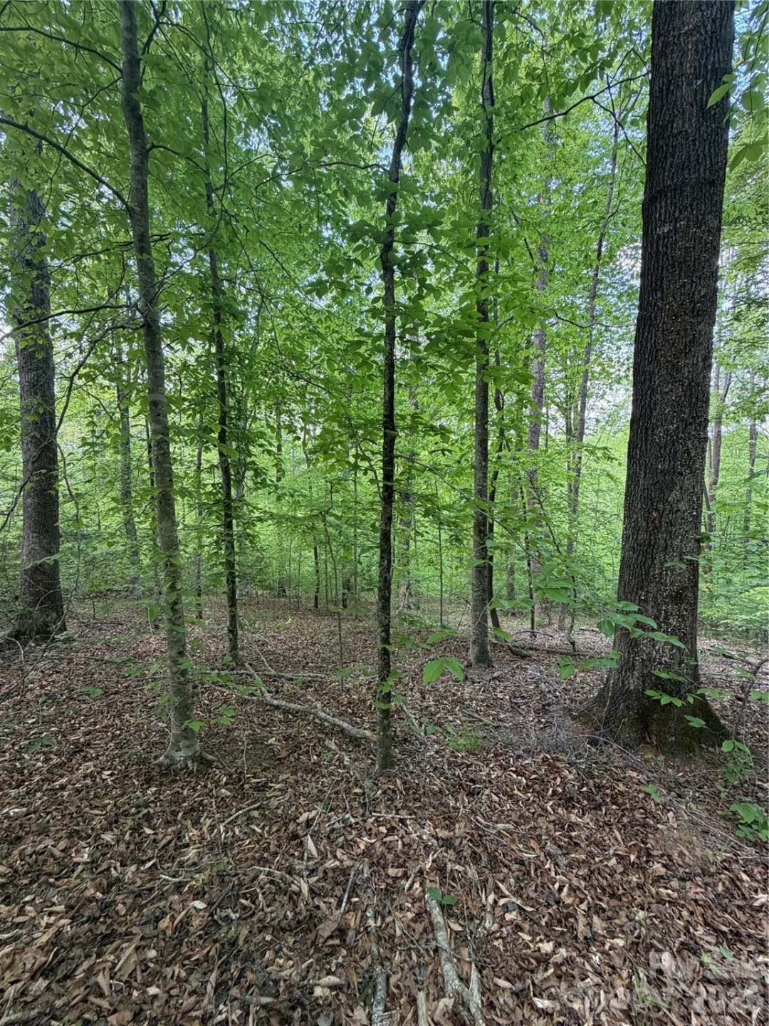 0 Overstone Drive #284 - Photo 7