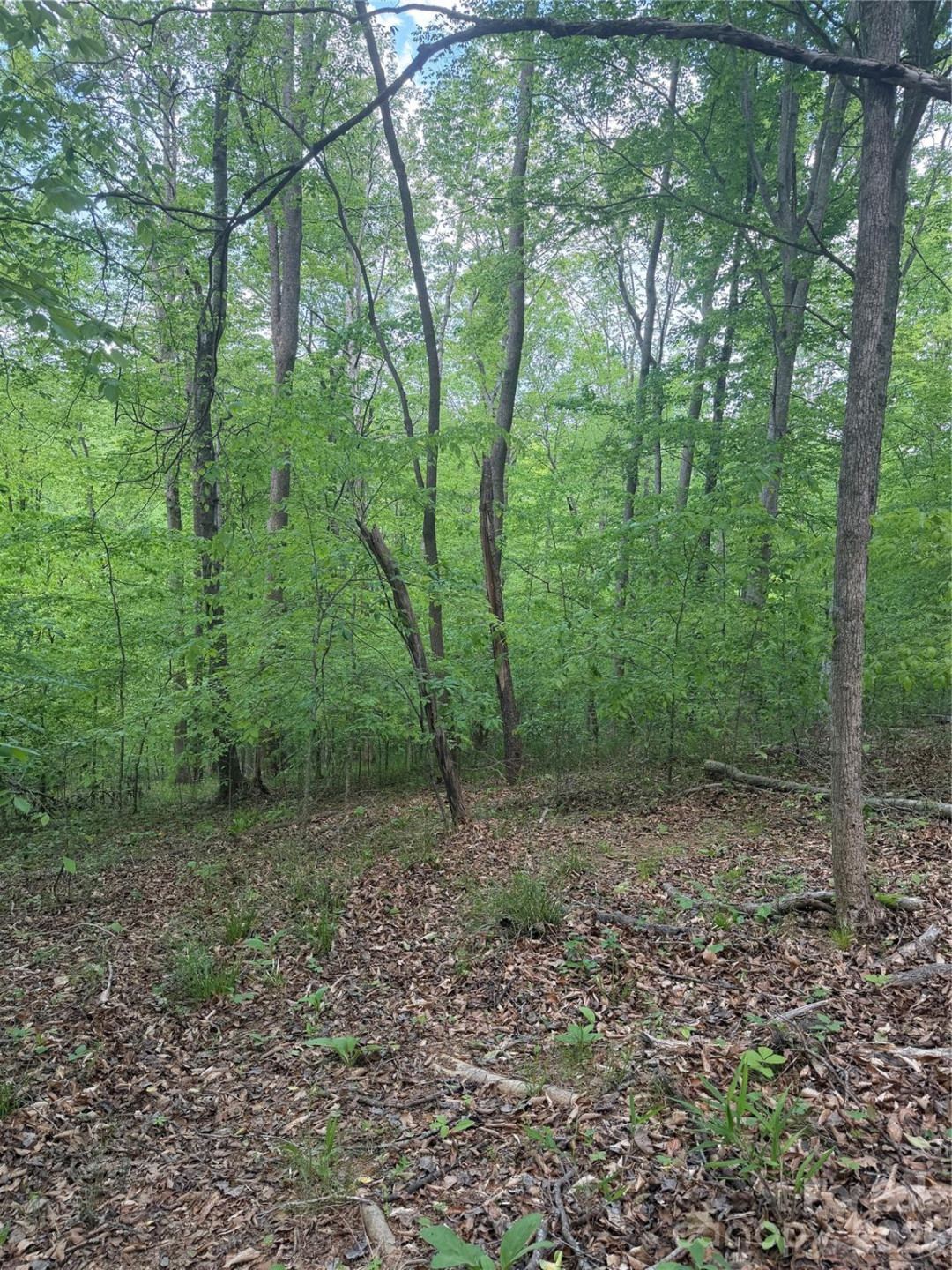 0 Overstone Drive #284 - Photo 8