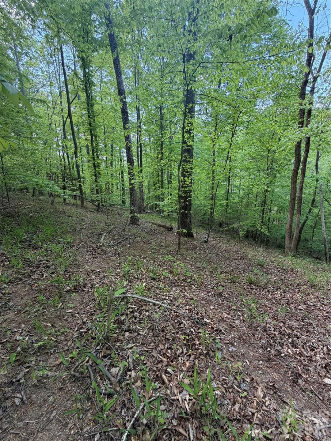 0 Overstone Drive #284 - Photo 9