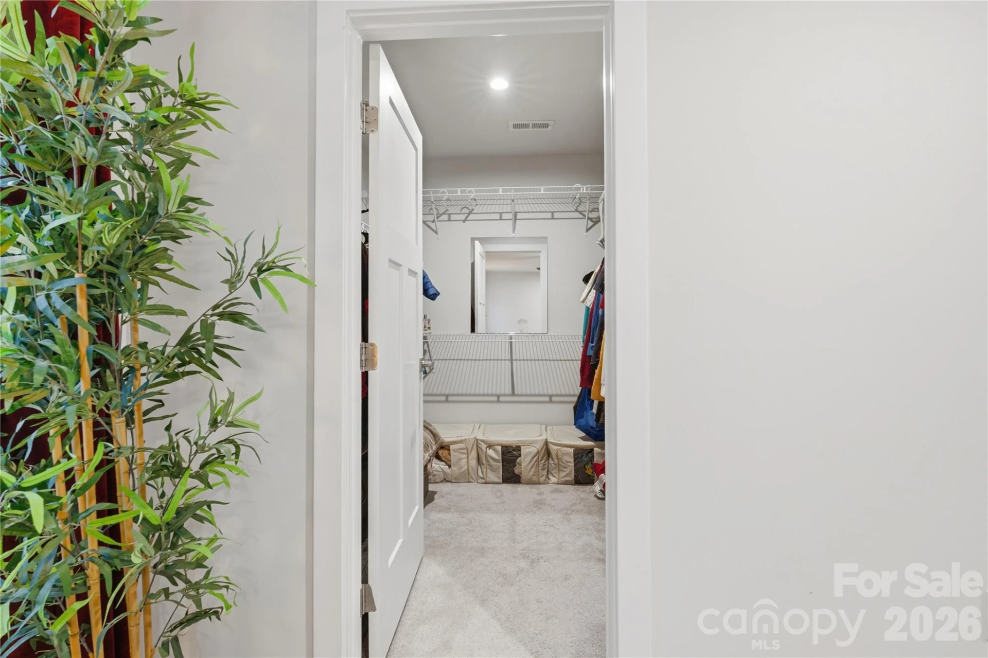 10158 Paper Birch Drive - Photo 38
