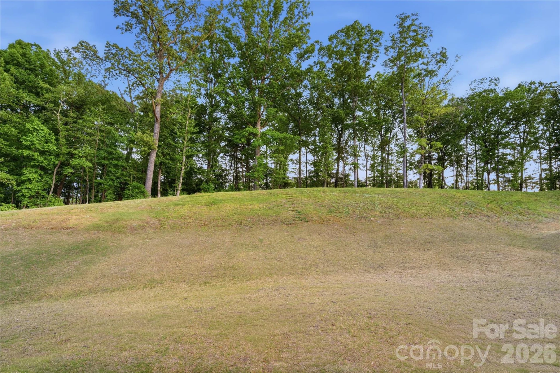 10158 Paper Birch Drive - Photo 45