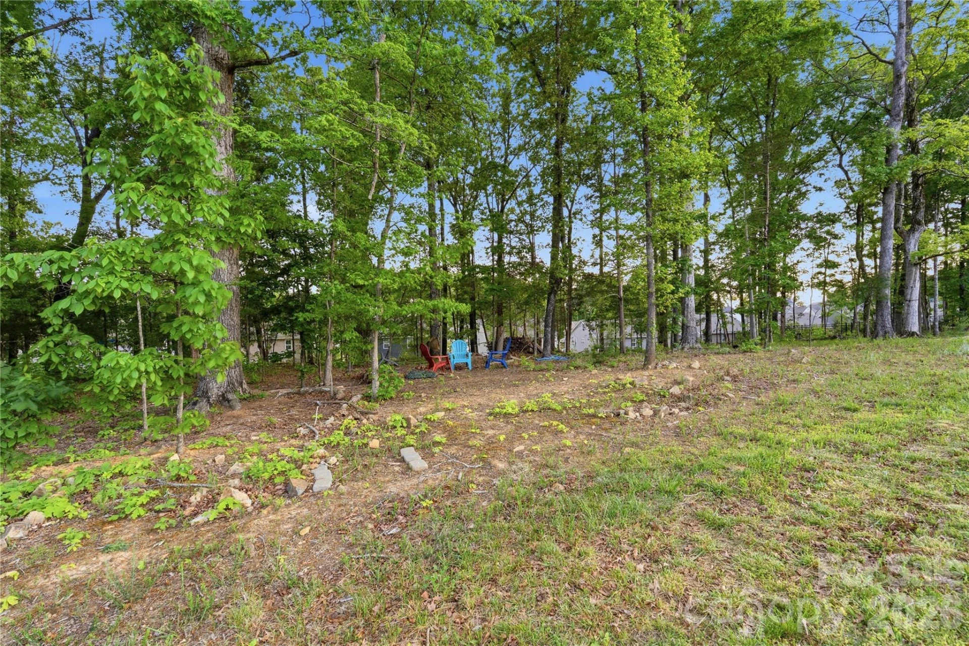 10158 Paper Birch Drive - Photo 46
