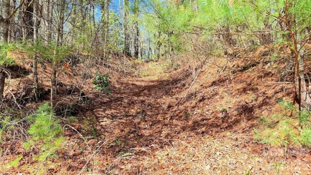 000 Jeter Mountain Road, Hendersonville, NC, 28739