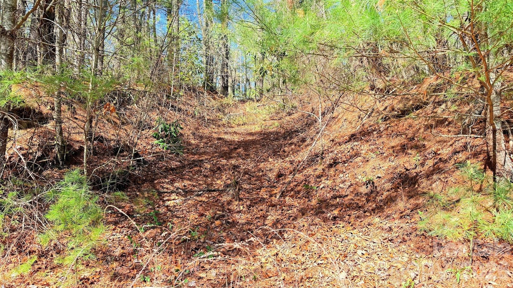 000 Jeter Mountain Road - Photo 2