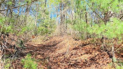 000 Jeter Mountain Road - Photo 3