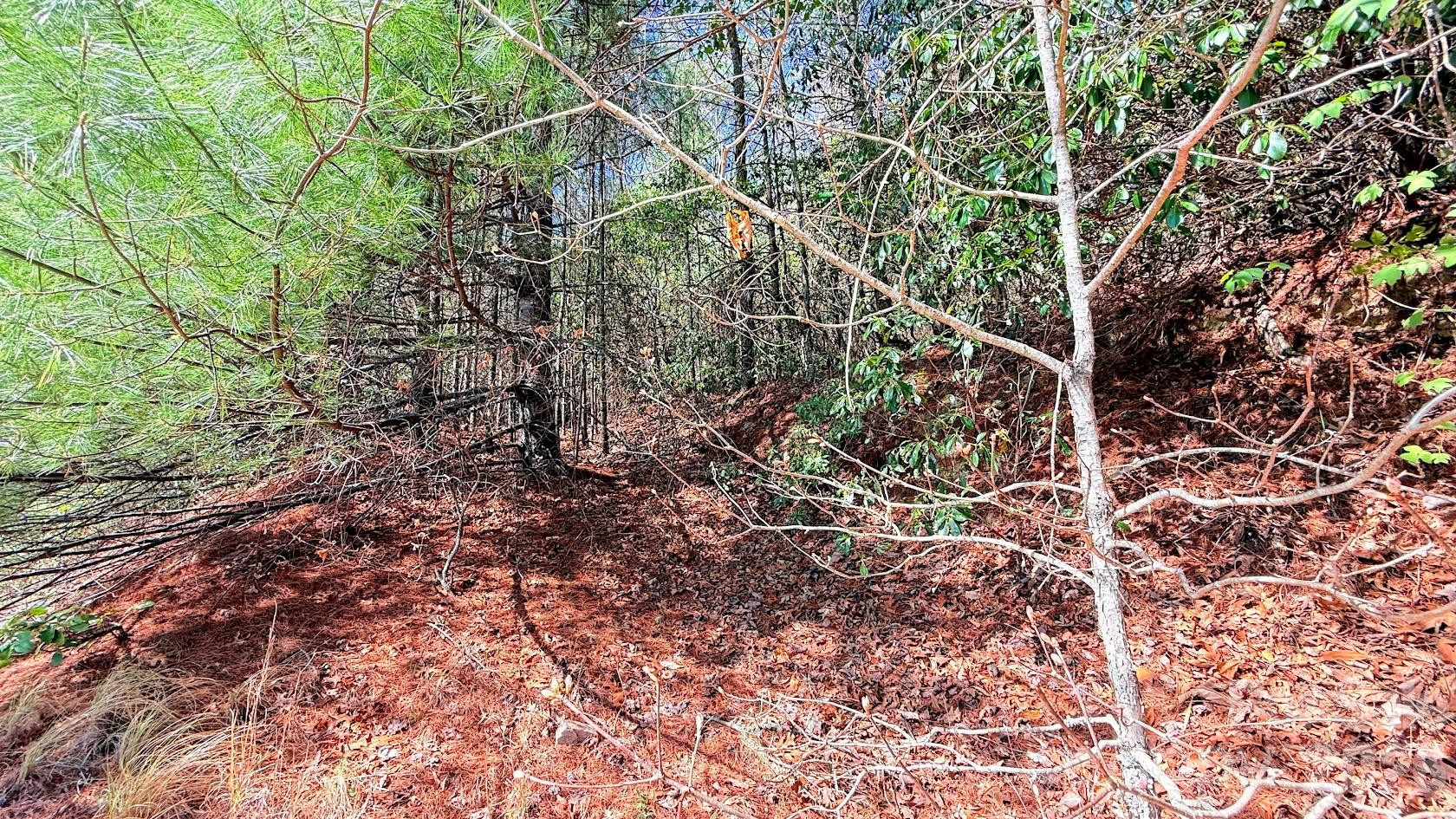 000 Jeter Mountain Road - Photo 4