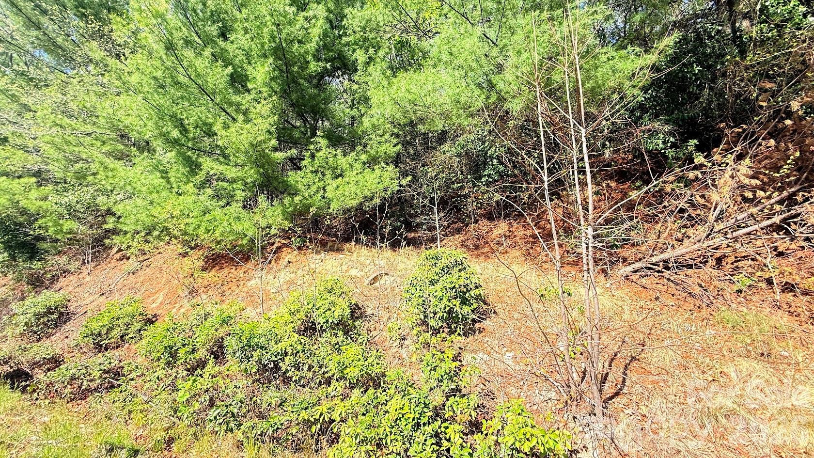 000 Jeter Mountain Road - Photo 5