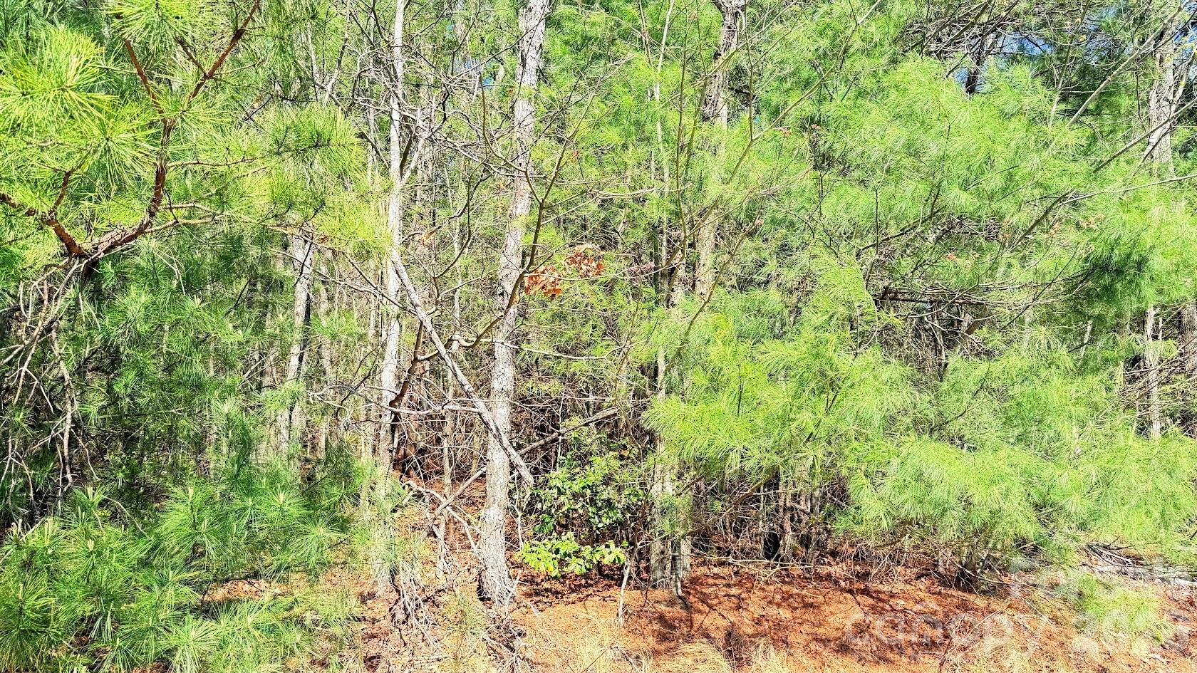 000 Jeter Mountain Road - Photo 6