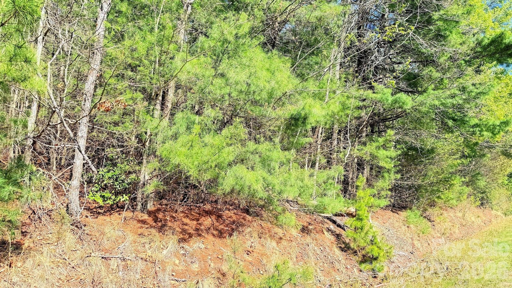 000 Jeter Mountain Road - Photo 8