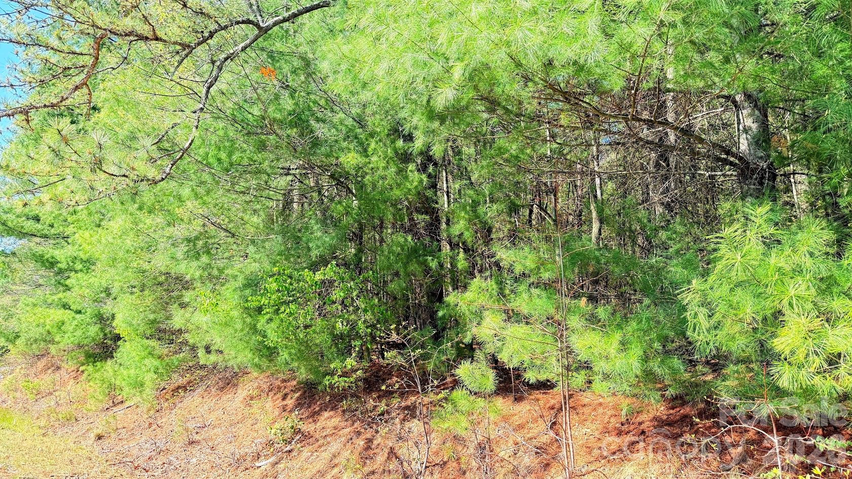 000 Jeter Mountain Road - Photo 10