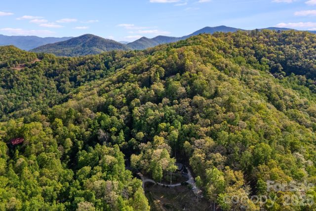 841 Laurel Spring Drive, Bryson City, NC, 28713