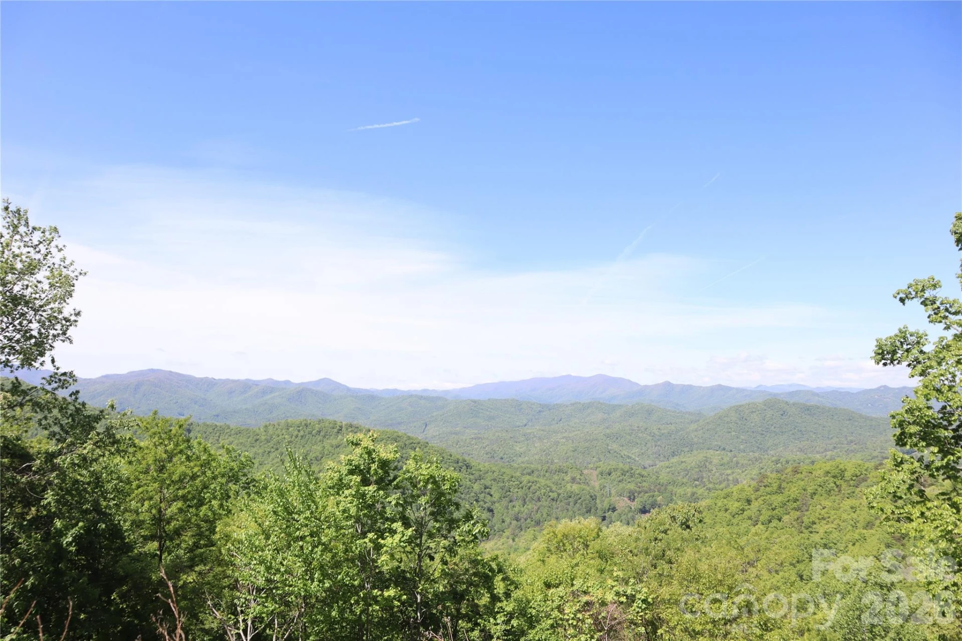 841 Laurel Spring Drive - Photo 12