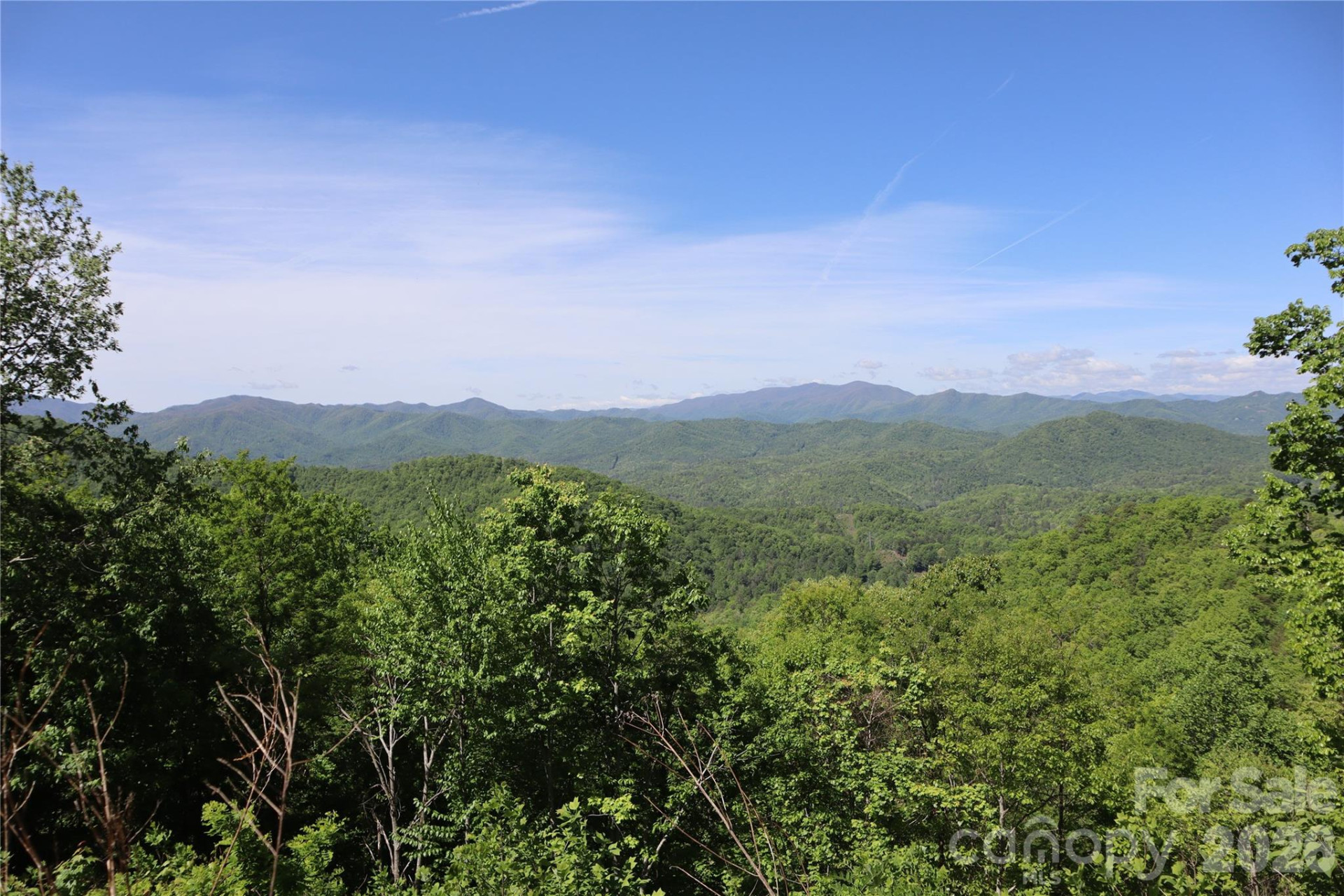 841 Laurel Spring Drive - Photo 13