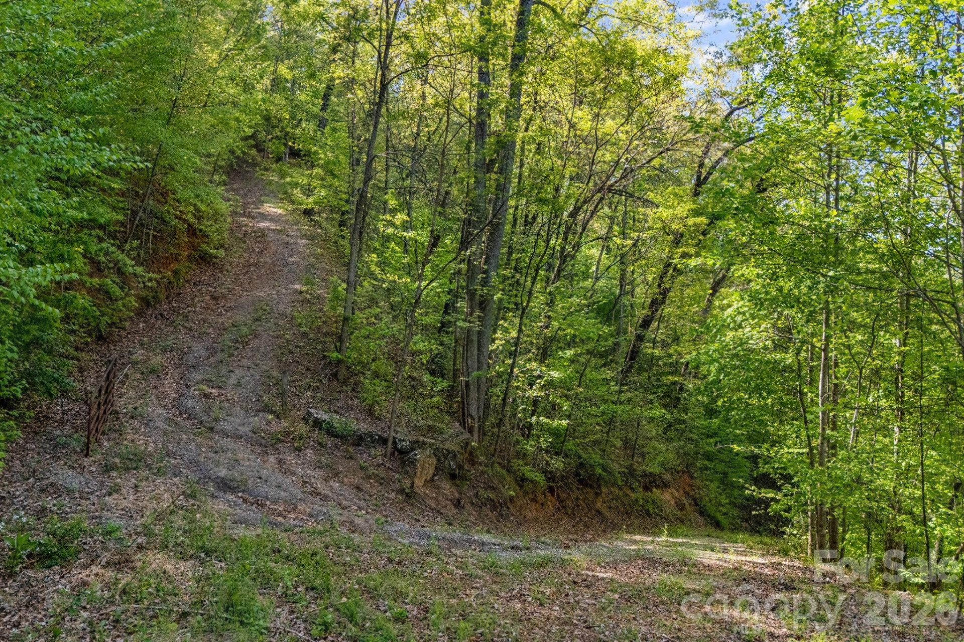 841 Laurel Spring Drive - Photo 4