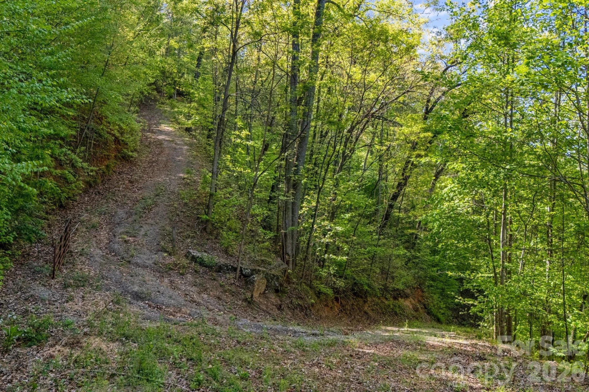 841 Laurel Spring Drive - Photo 4