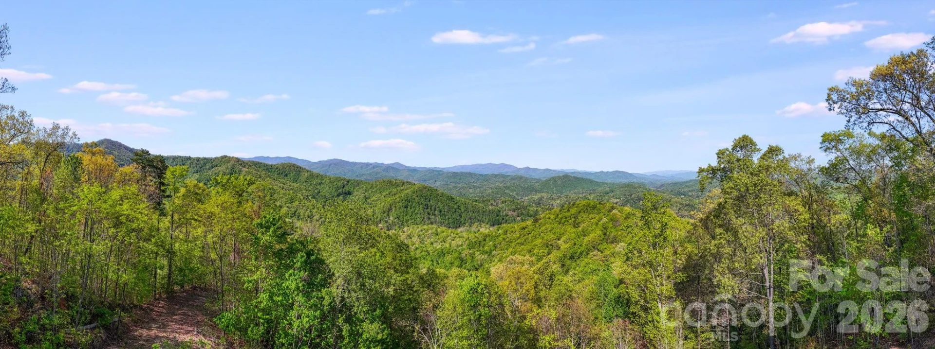 841 Laurel Spring Drive - Photo 6