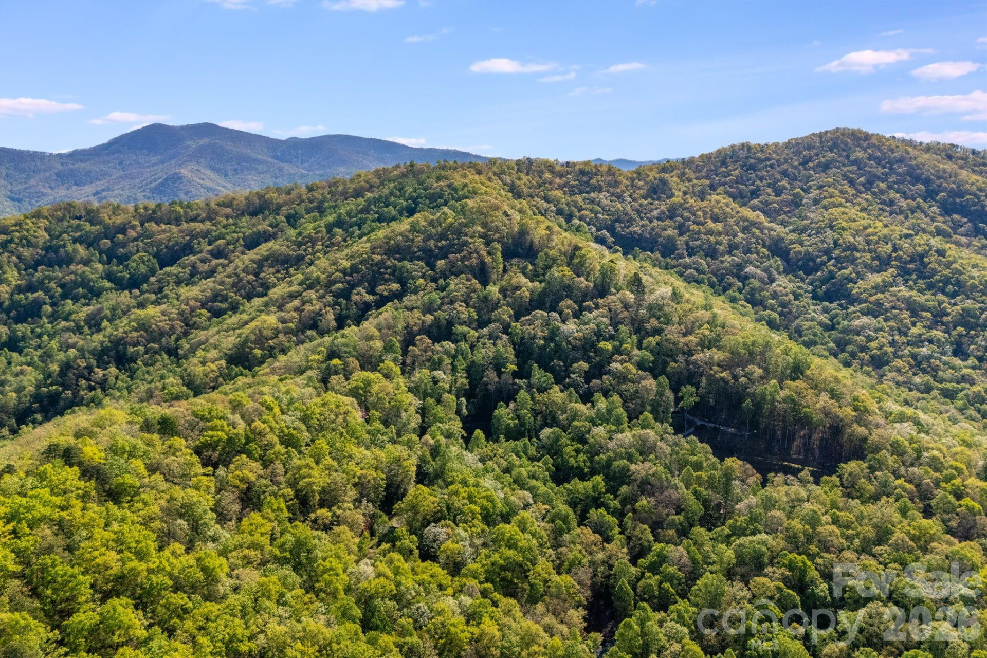 841 Laurel Spring Drive - Photo 7