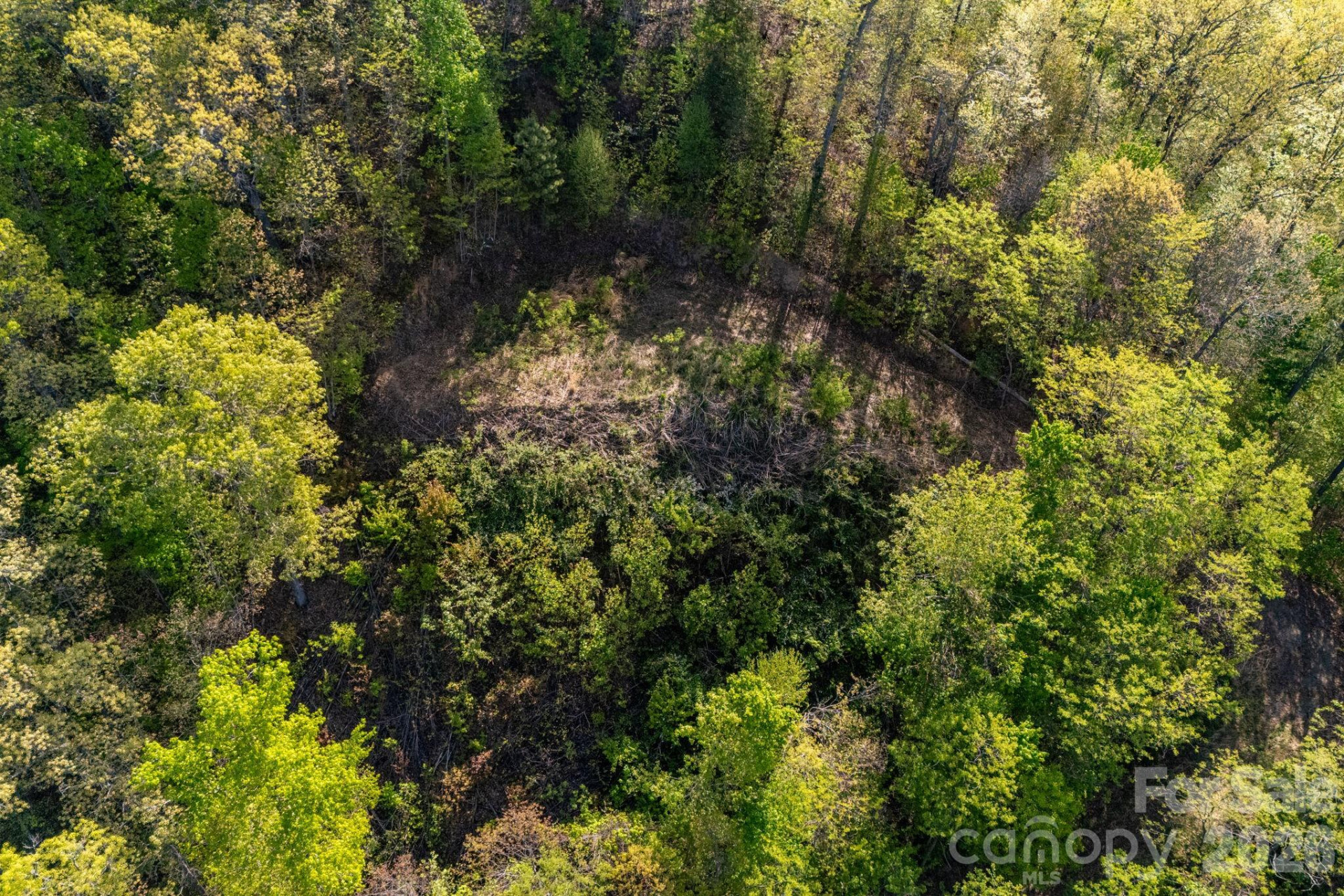 841 Laurel Spring Drive - Photo 9