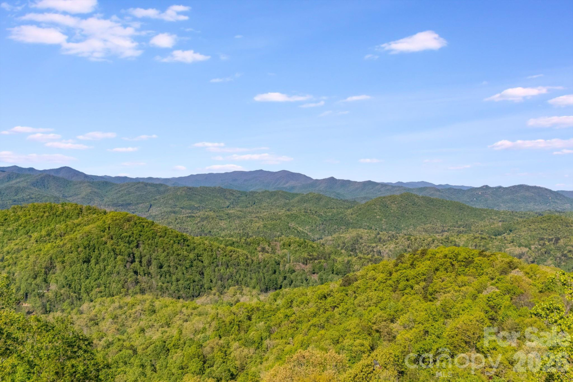 841 Laurel Spring Drive - Photo 10