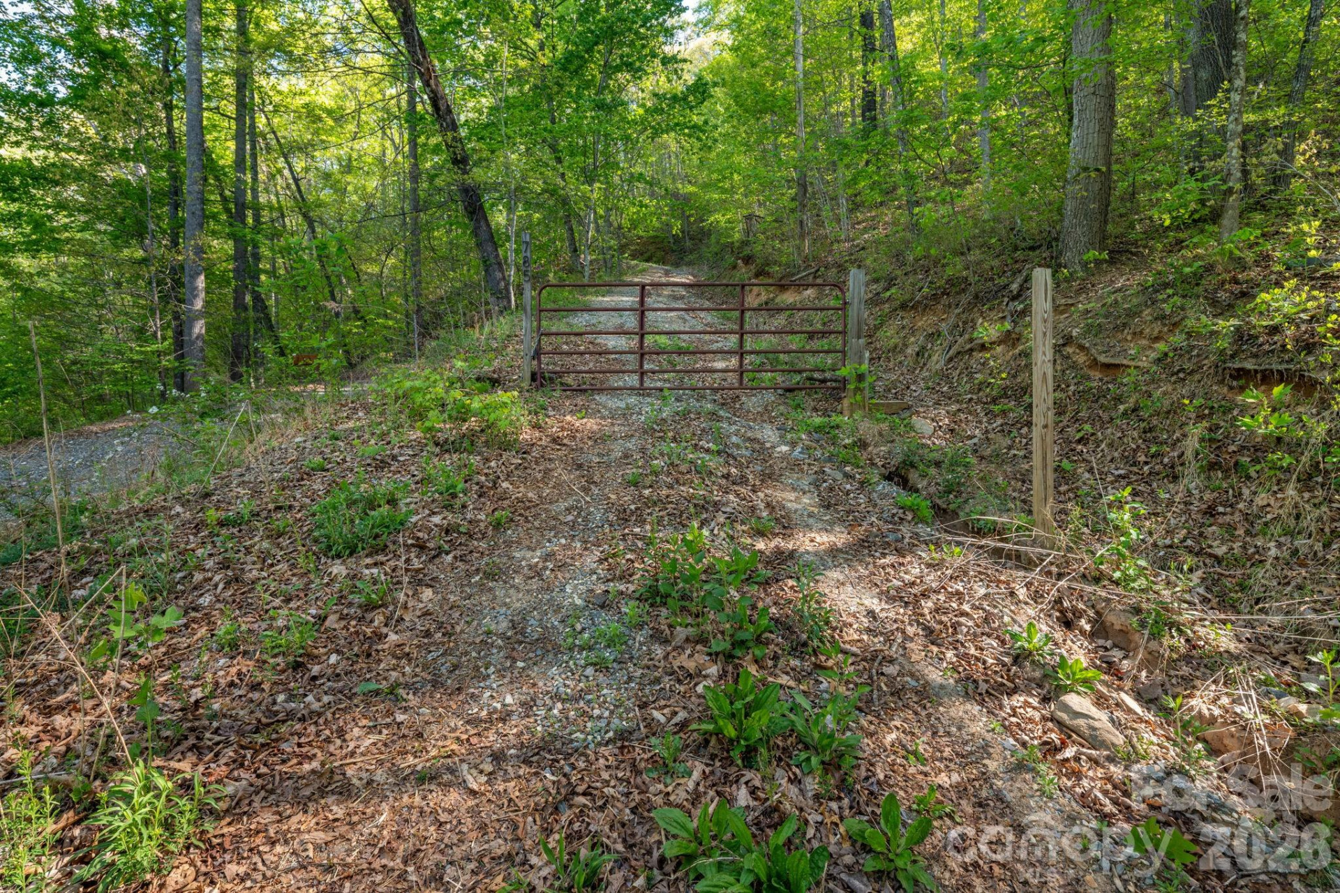 785 & 841 Laurel Spring Drive - Photo 2