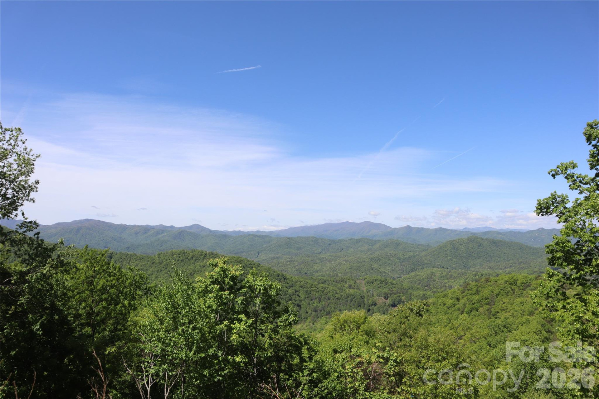 785 & 841 Laurel Spring Drive - Photo 13