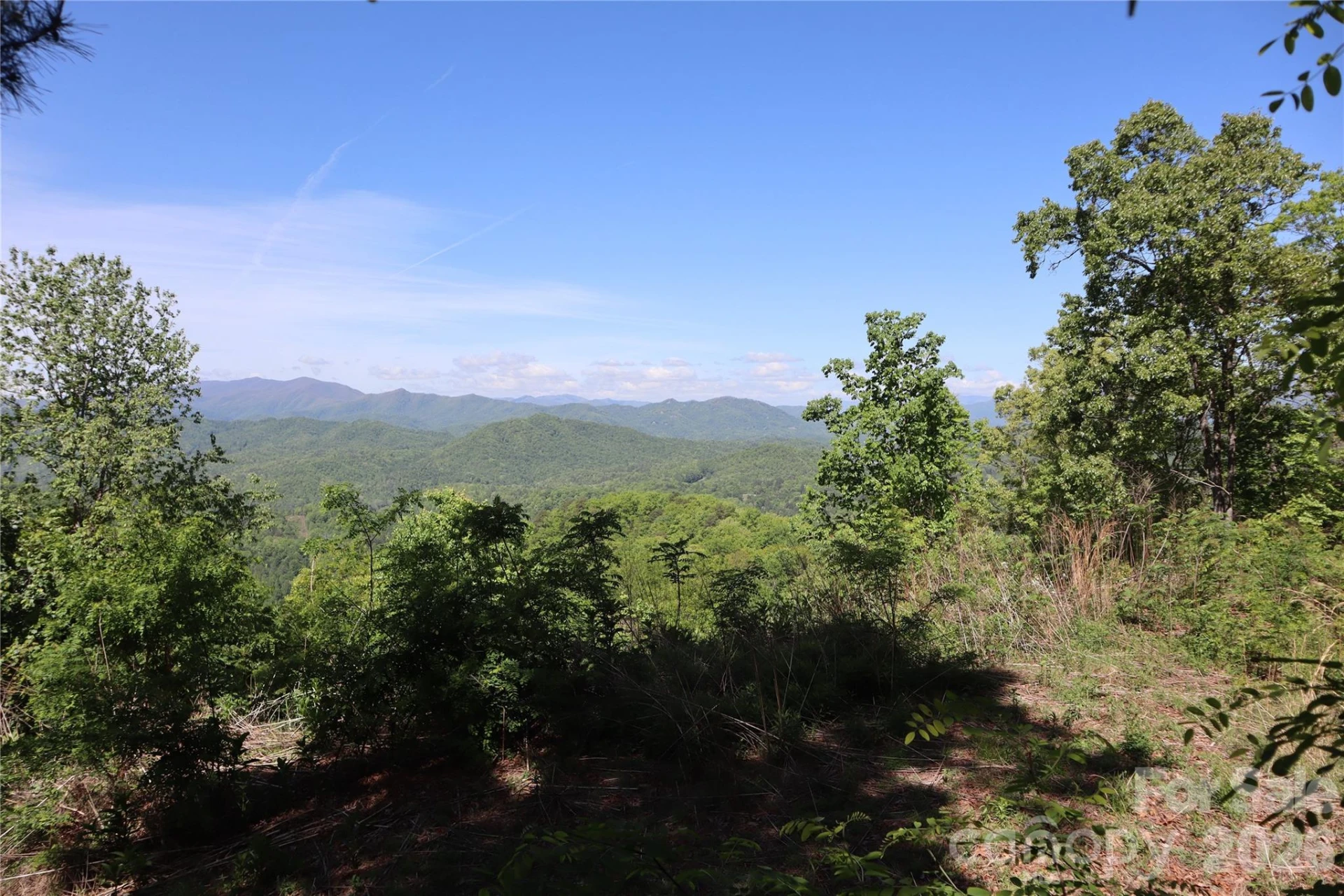 785 & 841 Laurel Spring Drive - Photo 15
