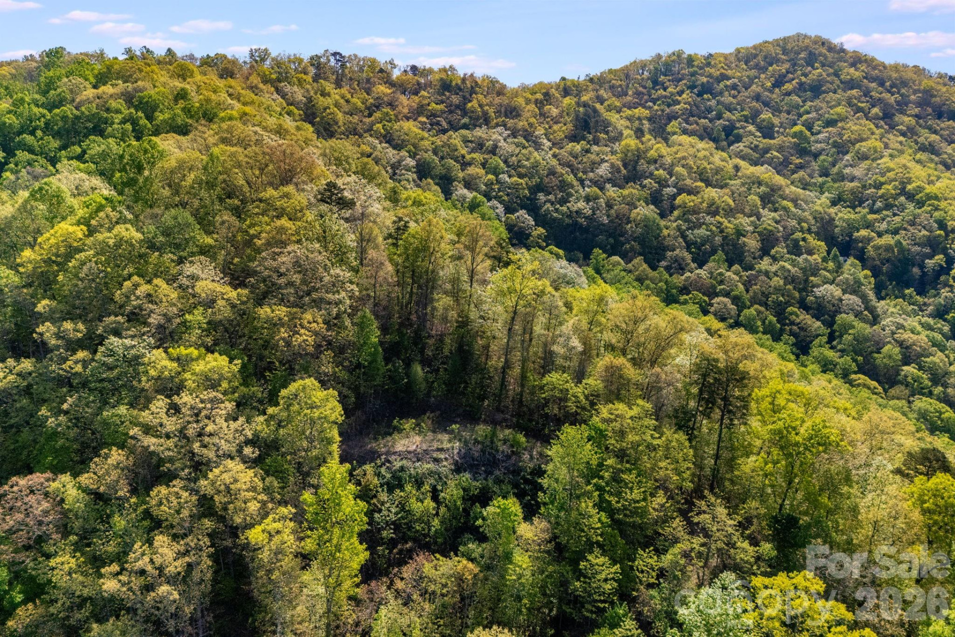 785 & 841 Laurel Spring Drive - Photo 9