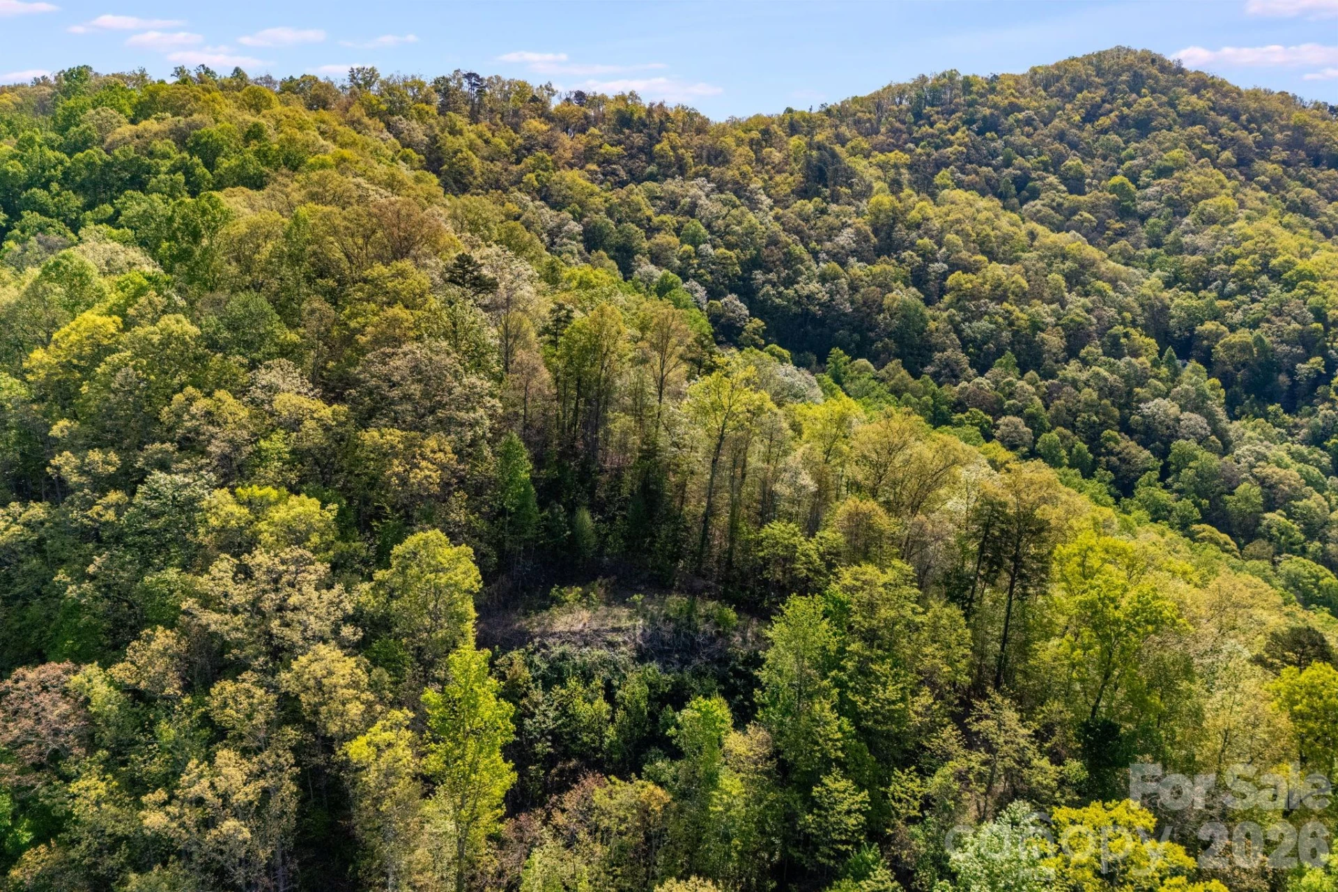 785 & 841 Laurel Spring Drive - Photo 9