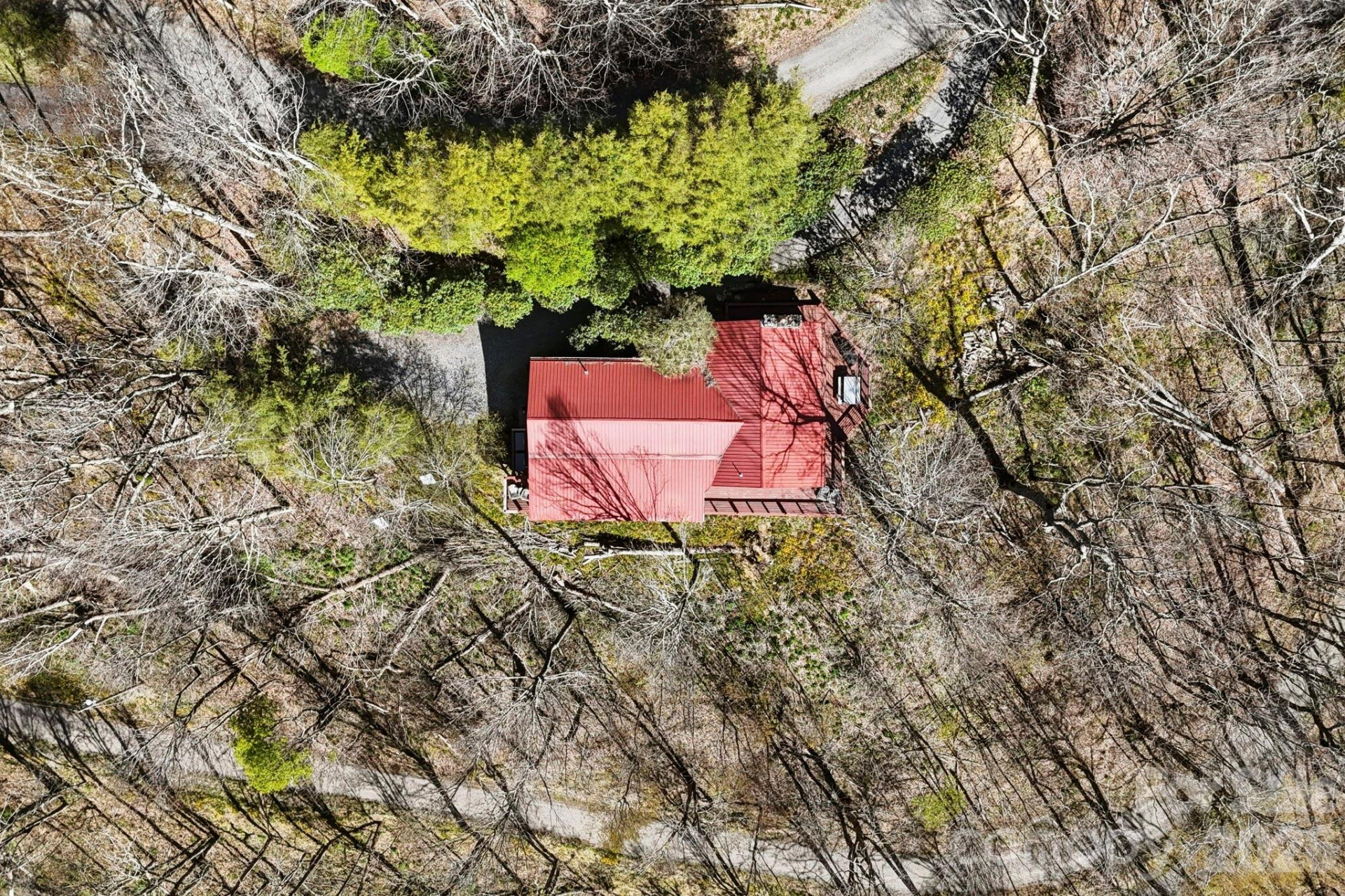 339 Granny Lewis Lane - Photo 40