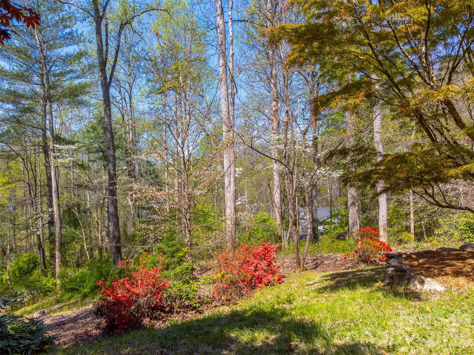 605 Toy Cove Road - Photo 48