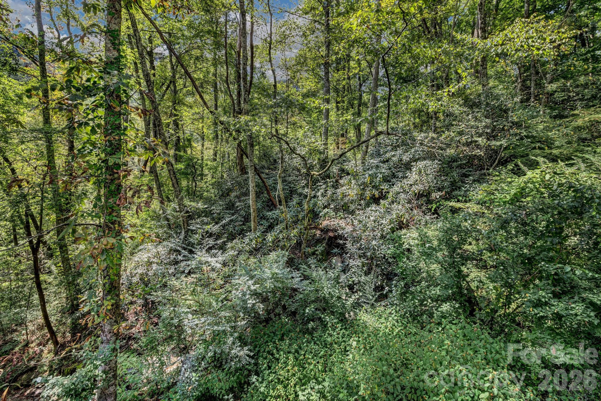 3851 Gerton Highway - Photo 2
