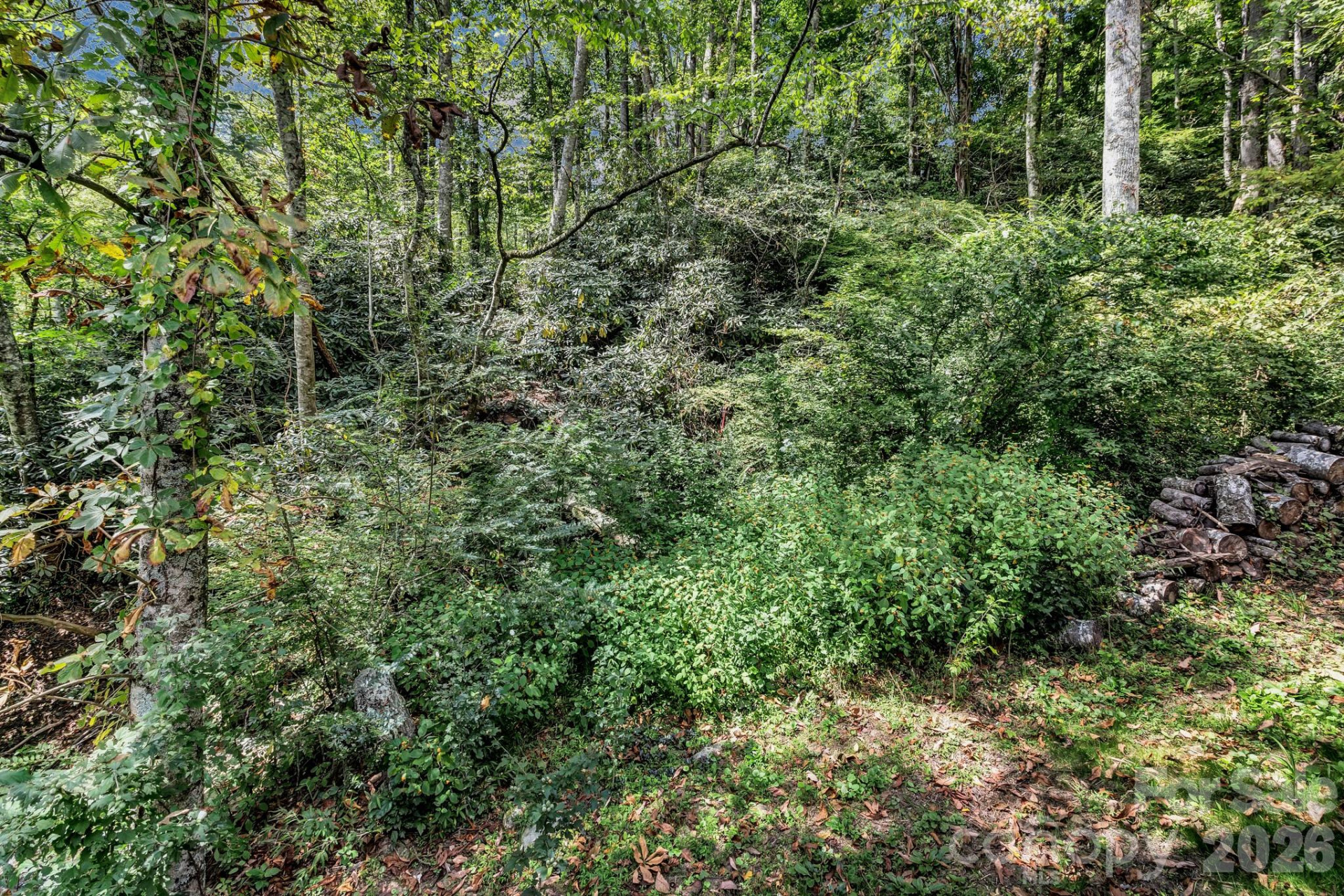 3851 Gerton Highway - Photo 3