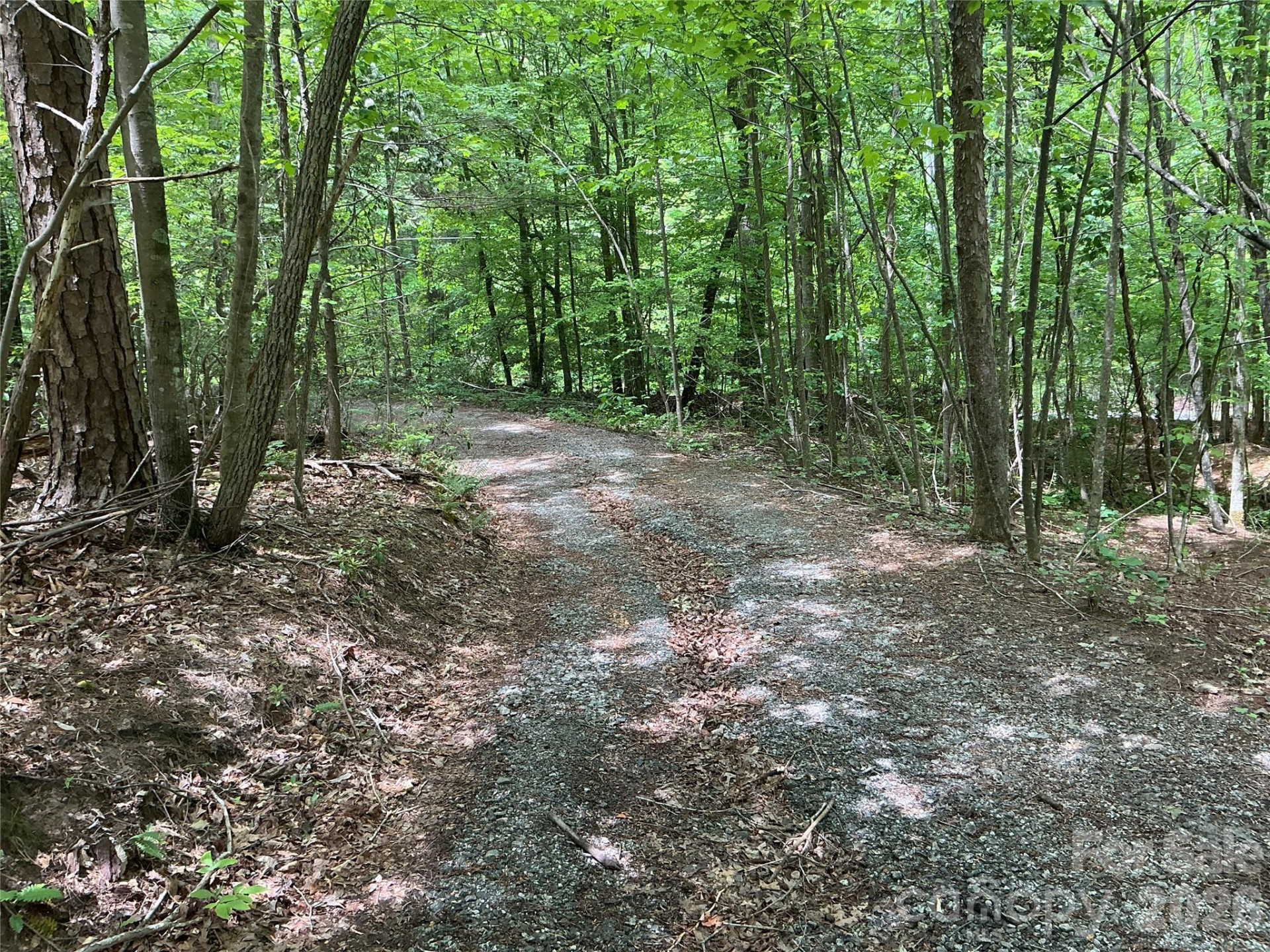 00 Green River Cove Road - Photo 5