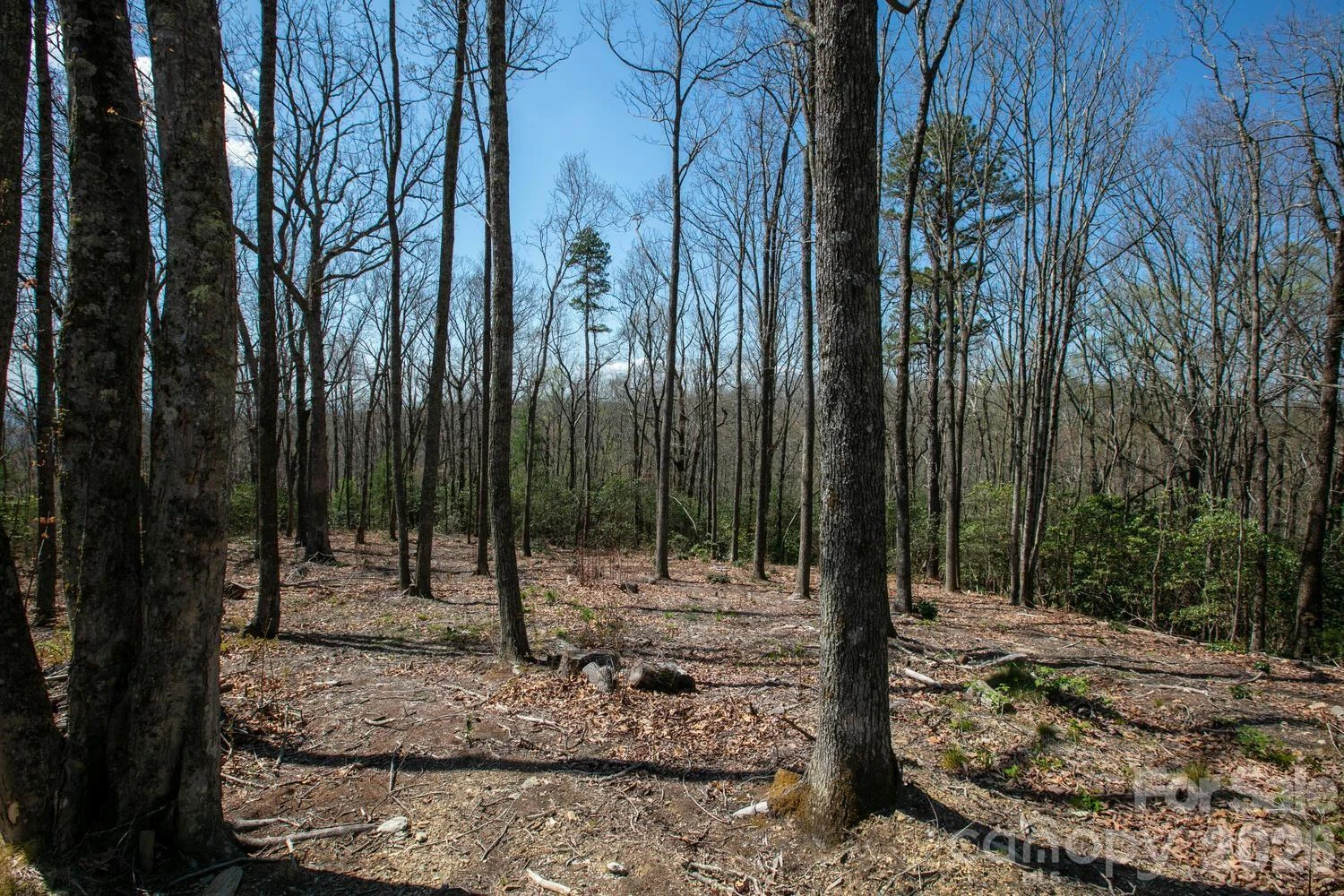 148 Spring Song Lane #6 - Photo 2