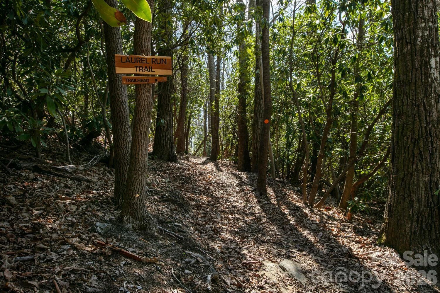 148 Spring Song Lane #6 - Photo 12