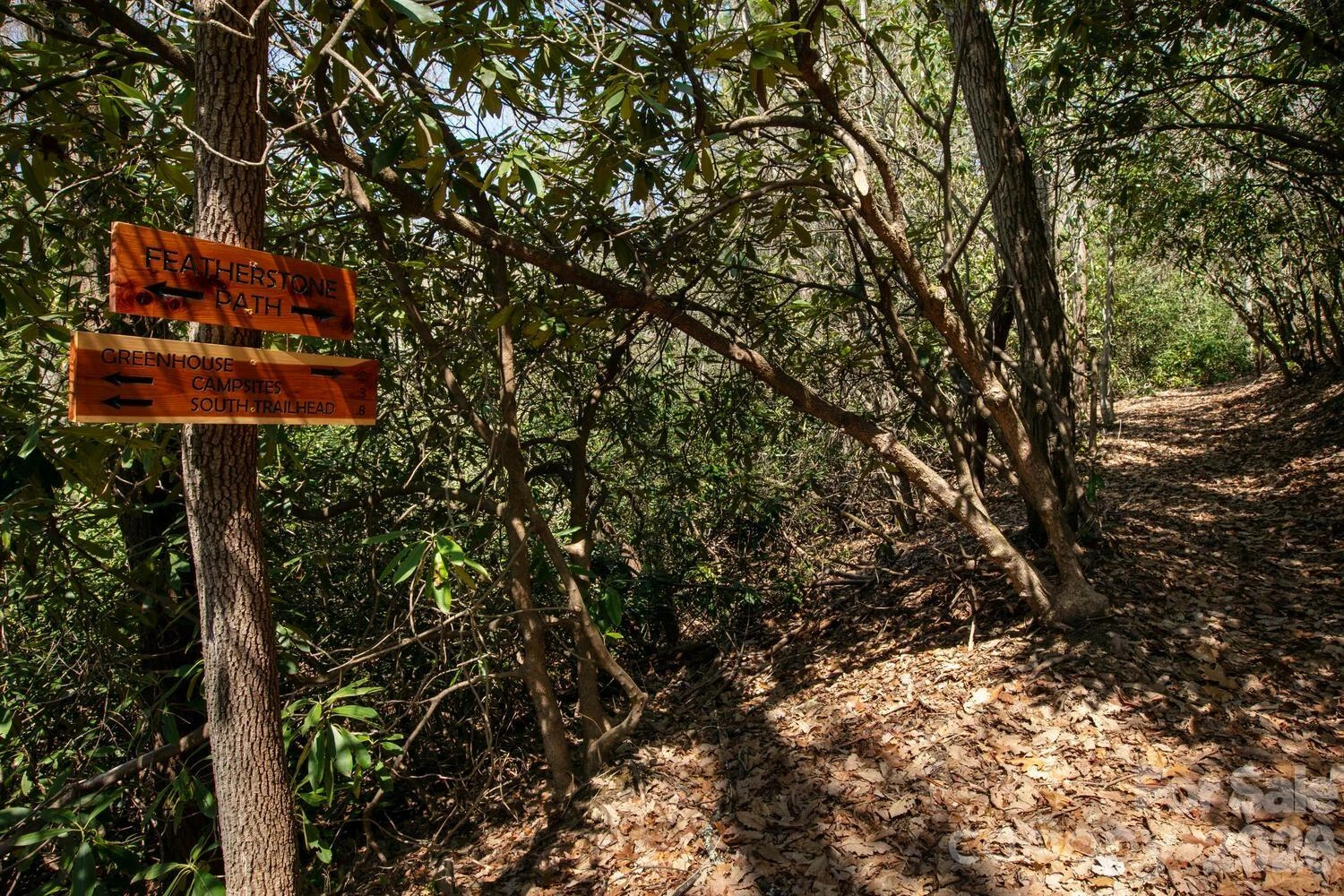 148 Spring Song Lane #6 - Photo 13