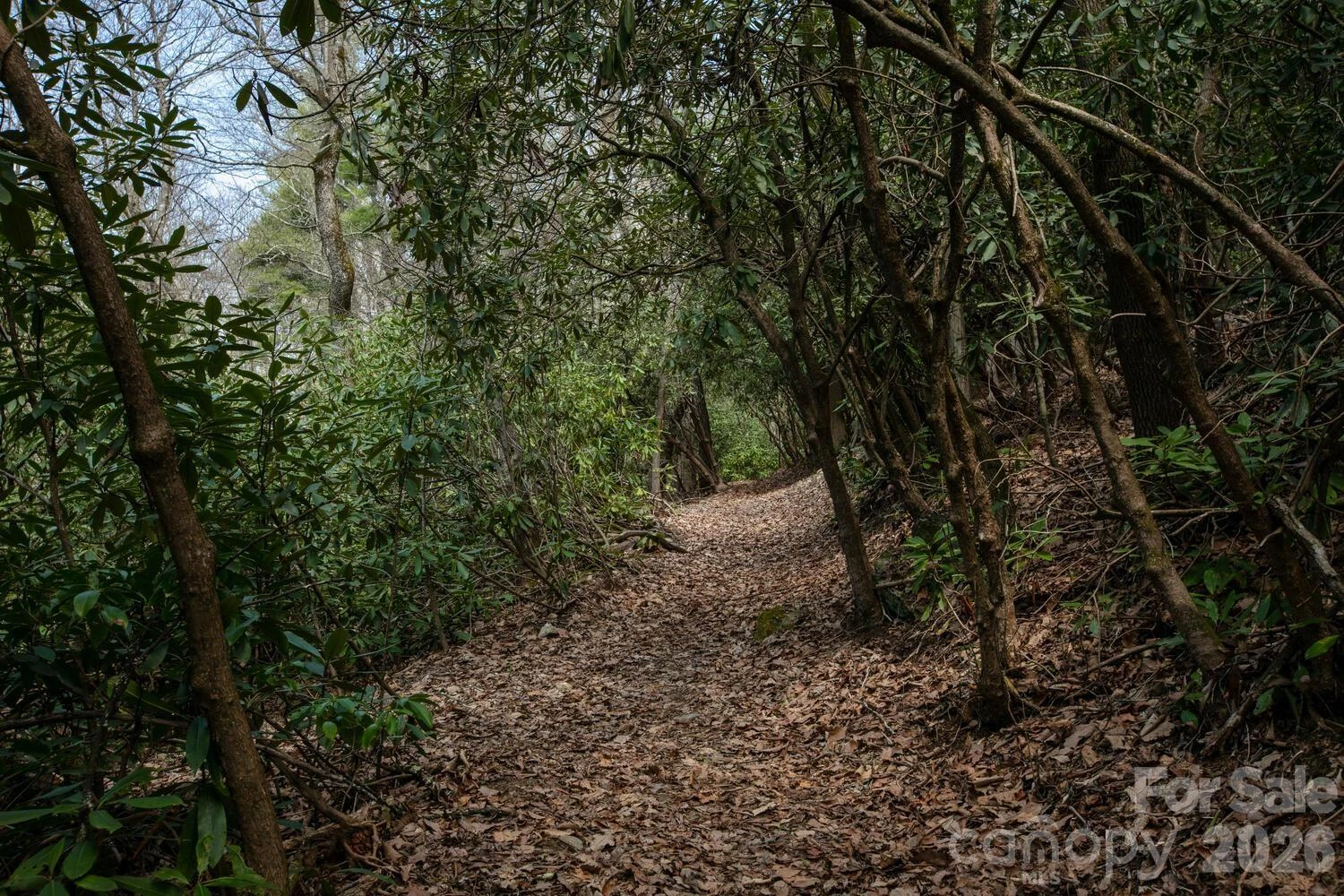 148 Spring Song Lane #6 - Photo 15