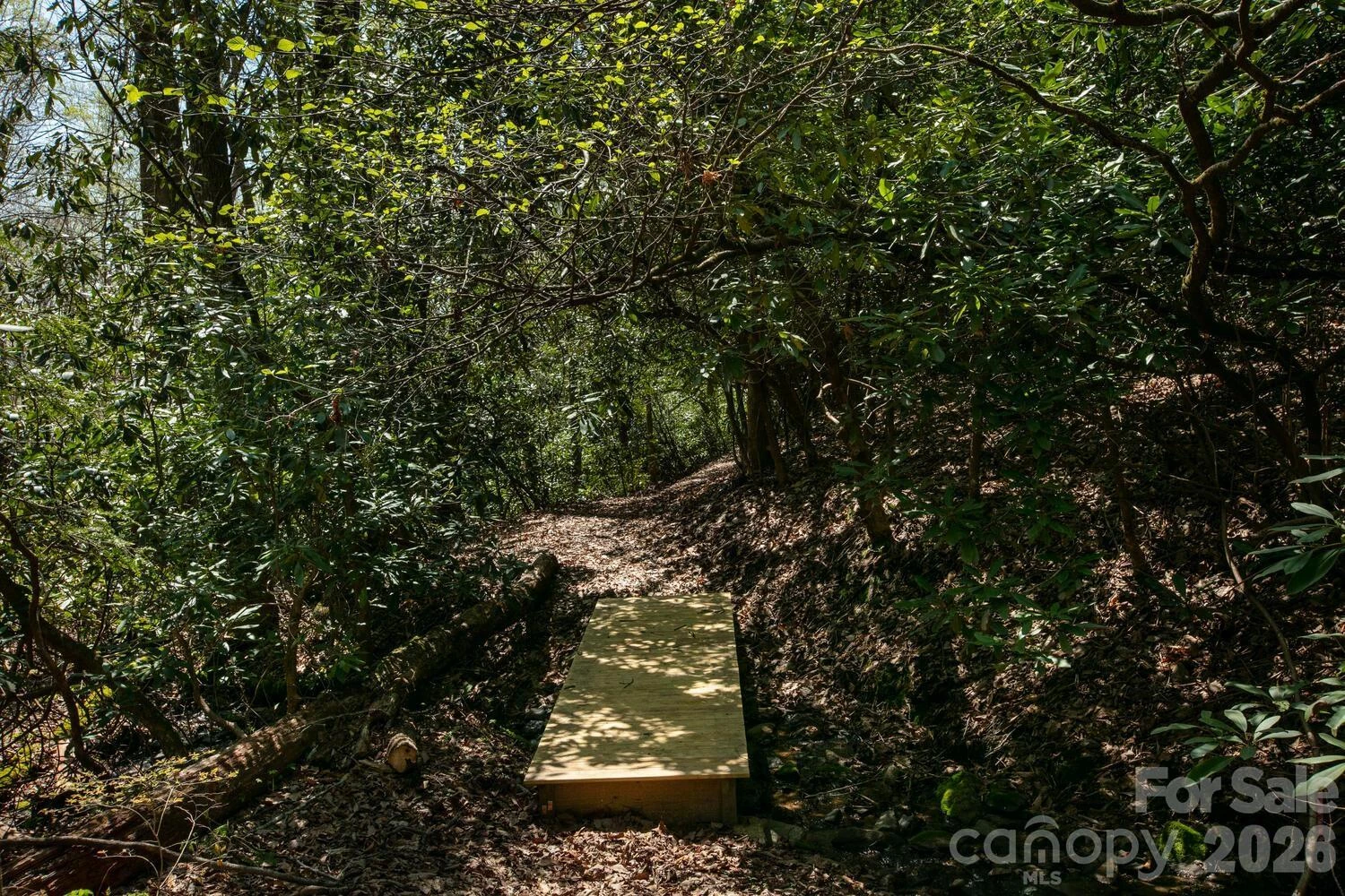 148 Spring Song Lane #6 - Photo 16